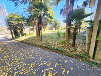 富津市西大和田