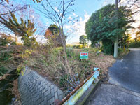 富津市西大和田